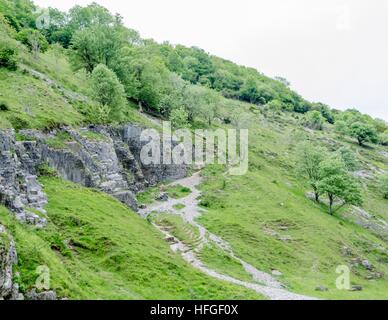 Die Cheddar Gorge, Somerset, England Stockfoto