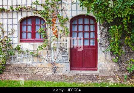 Landhaus Wand Hintergrundtextur, rote hölzerne Tür-, Fenster- und dekorative Grünpflanze Stockfoto