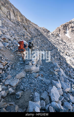 Steigend auf Mather Pass, John Muir Trail, Kings Canyon Nationalpark, Kalifornien, Vereinigte Staaten von Amerika, Nordamerika Stockfoto