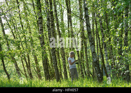 Birkenblätter-Ernte, Frau Erntet Blätter von Birke, Birkenblatternte, Birkenblatternte, Birke, Hänge-Birke, Sand-Birke, Hängebirke, Betula Pendel, Eu Stockfoto