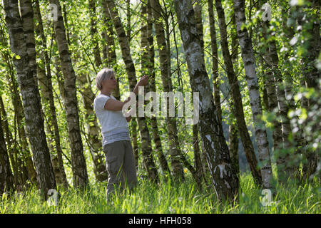 Birkenblätter-Ernte, Frau Erntet Blätter von Birke, Birkenblatternte, Birkenblatternte, Birke, Hänge-Birke, Sand-Birke, Hängebirke, Betula Pendel, Eu Stockfoto