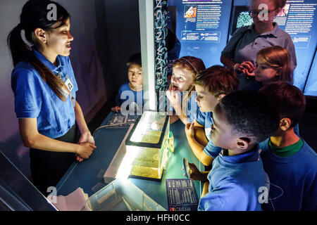 New York City, NY NYC Manhattan, Upper West Side, American Museum of Natural History, Hall of Ocean Life, interaktive Ausstellung, Plankton, Asian Black African, Stockfoto