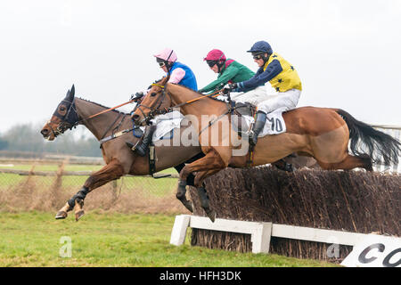 Cottenham Cambridgeshire UK 31. Dezember 2016. Reiter Wettbewerb beim Cambridgeshire Harriers Hunt Club Point to Point Rennen treffen. Es gab sieben Rennen auf dem Vorabend des neuen Jahres Pferd Rennen treffen. Kredit Julian Eales/Alamy Live-Nachrichten Stockfoto