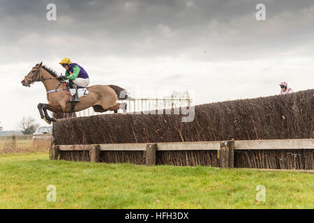 Cottenham Cambridgeshire UK 31. Dezember 2016. Reiter Wettbewerb beim Cambridgeshire Harriers Hunt Club Point to Point Rennen treffen. Es gab sieben Rennen auf dem Vorabend des neuen Jahres Pferd Rennen treffen. Kredit Julian Eales/Alamy Live-Nachrichten Stockfoto