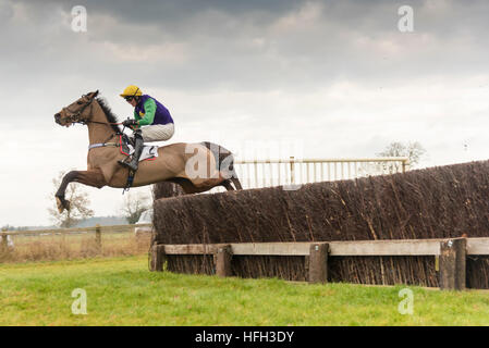 Cottenham Cambridgeshire UK 31. Dezember 2016. Reiter Wettbewerb beim Cambridgeshire Harriers Hunt Club Point to Point Rennen treffen. Es gab sieben Rennen auf dem Vorabend des neuen Jahres Pferd Rennen treffen. Kredit Julian Eales/Alamy Live-Nachrichten Stockfoto