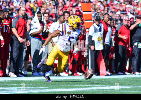 Orlando, Florida, USA. 31. Dezember 2016. LSU Niederlagen Louisville 29-9 im Camping World Stadium in Orlando Florida.  Bildnachweis: Marty Jean-Louis © Marty Jean-Louis/Alamy Live-Nachrichten Stockfoto