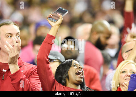 Atlanta, Georgia, USA. 31. Dezember 2016. CHRIS URSO | Times.An unbekannten Alabama Crimson Tide Lüfter Jubel während der ersten Hälfte gegen die Washington Huskies Samstag, 31. Dezember 2016 in Atlanta. © Chris Urso/Tampa Bay Times / ZUMA Draht/Alamy Live News Stockfoto