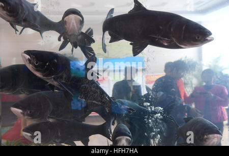 Hefei, China Anhui Provinz. 1. Januar 2017. Touristen besuchen das malerische Wanfo Seengebiet im Shucheng County, der ostchinesischen Provinz Anhui, 1. Januar 2017. © Tao Ming/Xinhua/Alamy Live-Nachrichten Stockfoto