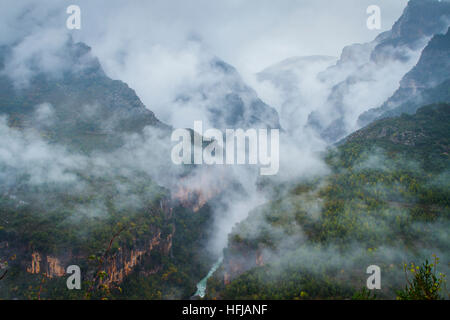 Canyon und Nebel Stockfoto