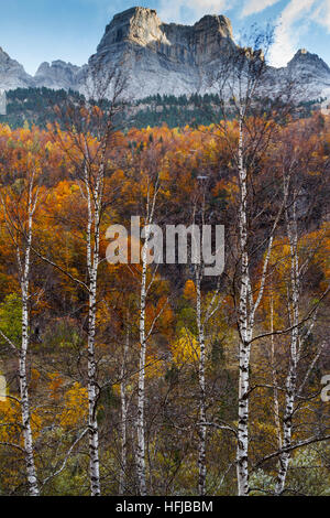 Berge-Aussicht und Laubwald im Herbst.  Ordesa Nationalpark. Gebirgskette der Pyrenäen. Huesca, Spanien, Europa. Stockfoto