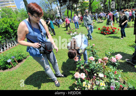 Rosen-Wettbewerb. Cervantes-Park, Parc de Cervantes, Pedralbes Viertel, Bezirk Les Corts, Barcelona, Katalonien, Spanien Stockfoto