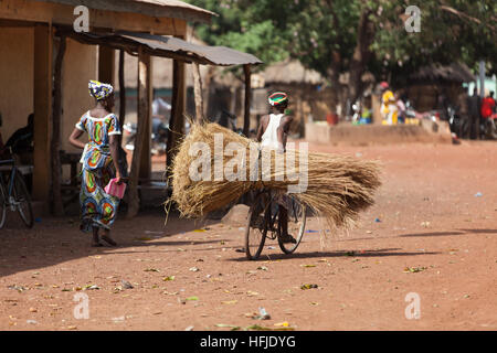 Baro, Guinea, 1. Mai 2015: Durchführung von thatching Materialien mit dem Fahrrad durch die Hauptstraße. Stockfoto