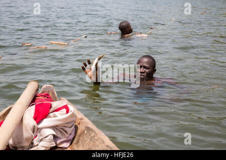 Baro Dorf, Guinea, 1. Mai 2015: Fischer Fische in ihrem Netz fangen. Diese Zeit ist in der Regel gut zum Angeln, da der Fluss zu niedrig ist. Stockfoto