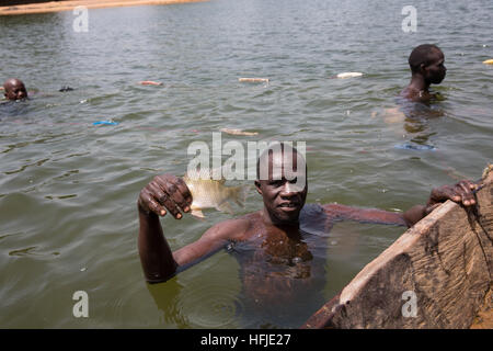 Baro Dorf, Guinea, 1. Mai 2015: Fischer Fische in ihrem Netz fangen. Diese Zeit ist in der Regel gut zum Angeln, da der Fluss zu niedrig ist. Stockfoto