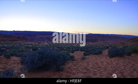 Horseshoe Bend, Arizona mit vielen Büschen und roten Sand auf dem sunset Stockfoto