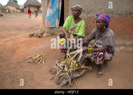 Koumban Dorf, Guinea, 2. Mai 2015; Saran Condé, 40 und Nafina Dioubaté, 78, Beschuss Néré Obst. Stockfoto