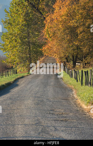 Schotterstraße im Herbst in einem ruhigen Moment in Cades Cove Stockfoto