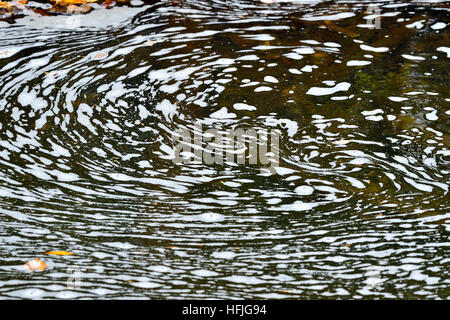 Weißer Schaum schwimmt auf der Oberfläche eines Teiches in einem Bach in Alberta, Kanada Stockfoto