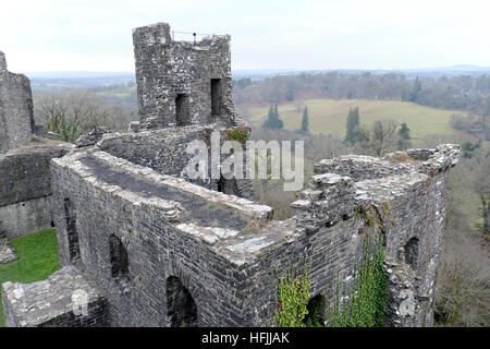 Blick auf die NE-Wände und Zimmer von Dinefwr Castle mit Blick auf den Dinefwr Deer Park im Winter Llandeilo Carmarthenshire Wales UK KATHY DEWITT Stockfoto