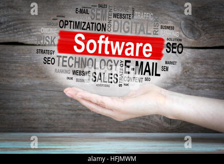 Software-Konzept. Wortwolke in weiblicher Hand. Stockfoto