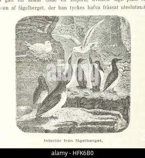 Diese Arbeit liefert einen historischen Bericht über die nordische Erkundung, einschließlich der Nordostpassage und der amerikanischen Nordpolexpedition, mit Schwerpunkt auf schwedischen Entdeckern und ihren Beiträgen. Stockfoto