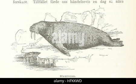 Eine Erinnerung an die Vega-Expedition unter Baron Nordenskiöld, die schwedische Pioniere und die Geschichte der Nordostpassage sowie die amerikanische Nordpolexpedition unter de Long beschreibt. Stockfoto