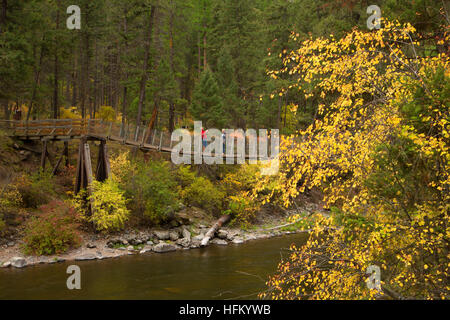 Rock Creek Bridge bei willkommen Creek Trailhead, Lolo National Forest in Montana Stockfoto