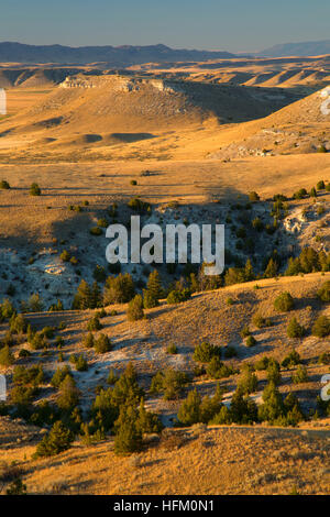 Grünland-Blick vom Trail, Madison Buffalo Jump State Park, Montana Stockfoto