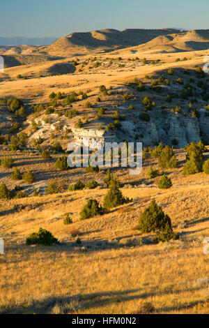 Grünland-Blick vom Trail, Madison Buffalo Jump State Park, Montana Stockfoto