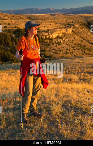 Grünland-Blick vom Trail, Madison Buffalo Jump State Park, Montana Stockfoto