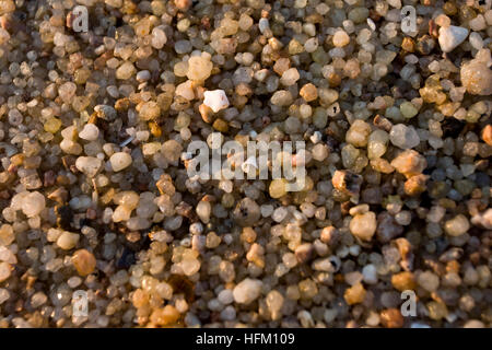 Sand am Mae Haad Beach in Koh Tao. Stockfoto