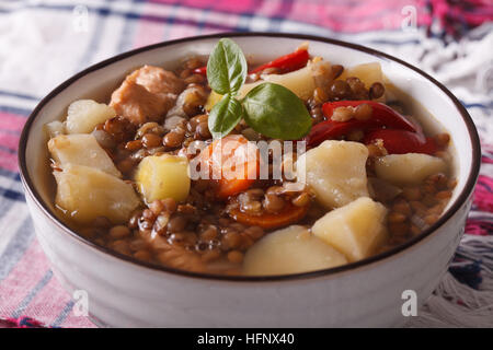 braune Linsensuppe mit Huhn und Gemüse Nahaufnahme auf dem Tisch. horizontale Stockfoto
