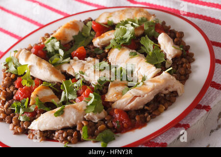 Gesunde braune Linsen mit gegrilltem Hähnchen und Kräuter hautnah auf einem Teller. horizontale Stockfoto