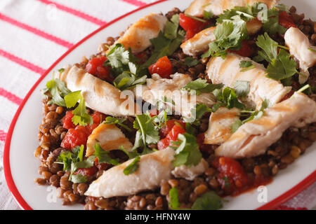 Linsensalat mit gegrilltem Hähnchen und Kräuter hautnah auf einem Teller. horizontale Stockfoto