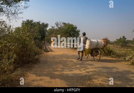 Dorfbewohner zurück mit geernteten Pflanzen am Ende des Tages zu ihren ländlichen Dorf in Bankura, West Bengal, Indien. Stockfoto