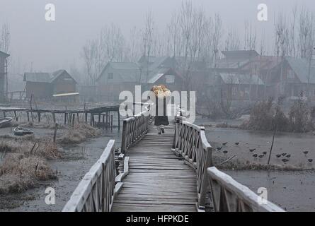 Indien. 31. Dezember 2016. Kashmiri Bäcker macht seinen Weg durch das Innere des berühmten Dal-See an einem kalten Morgen in Srinagar, die Sommerhauptstadt des indischen Kaschmir auf 31. Dezember 2016 gesteuert. © Faisal Khan/Pacific Press/Alamy Live-Nachrichten Stockfoto