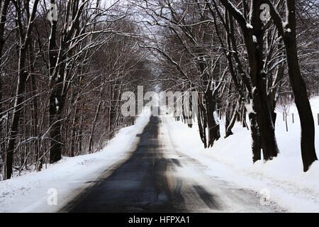 Asphaltierten Straße in Richtung durch ein Schnee bedeckt Wald. Stockfoto