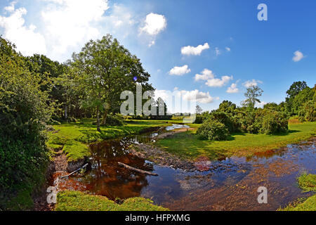 Kurvenreiche New Waldbach in der New Forest National Park, Hampshire, England. Stockfoto