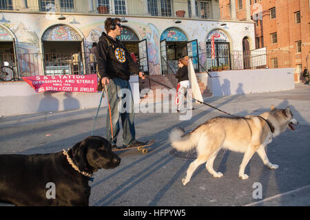 Mann, auf, Skateboard, Entnahme, hund, hunde, für, einen, Spaziergang, gefährlich, Gefahr, in Venice Beach, Santa Monica, Los Angeles, L.A., Kalifornien, USA, Vereinigte Staaten von Amerika Stockfoto