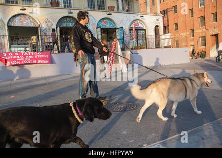 Mann, auf, Skateboard, Entnahme, hund, hunde, für, einen, Spaziergang, gefährlich, Gefahr, in Venice Beach, Santa Monica, Los Angeles, L.A., Kalifornien, USA, Vereinigte Staaten von Amerika Stockfoto