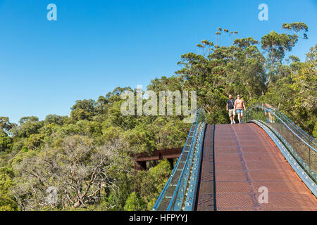 Besucher auf dem Lotterywest Föderation Gehweg im Kings Park, Perth, Western Australia, Australien Stockfoto