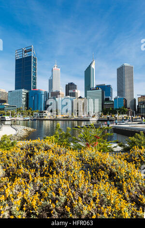 Blick über Elizabeth Quay auf die Skyline der Stadt, Perth, Western Australia, Australien Stockfoto