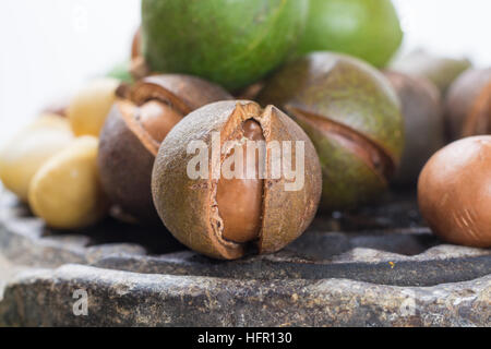 Macadamianüsse Ernte hautnah Stockfoto