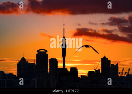 Auckland Sky Tower, Auckland, Neuseeland. Stockfoto