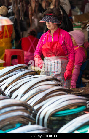 Fisch zum Verkauf an Jagalchi Fischmarkt, Busan, Südkorea. Stockfoto