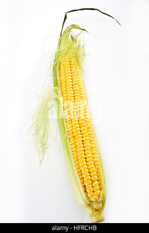 Frische Maiskolben (Zea Mays) Stockfoto