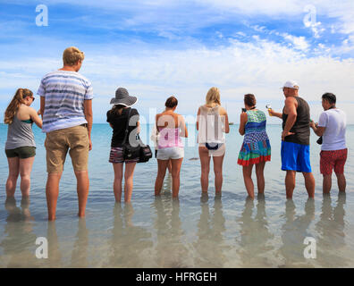 Menschen säumen den Strand die Delphine in Monkey Mia zu sehen. Western Australia Stockfoto