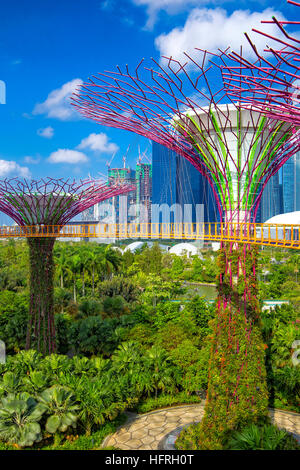 Gärten an der Bucht, Singapur Stockfoto