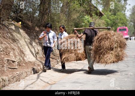 Nepal Kathmandu Asien Mädchen Landwirtschaftsschule mit Stroh Rasen Arbeit Bildung Aufwand Straßenszene candid Stockfoto