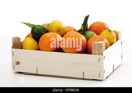 Zitrusfrüchte in einer Kiste: Zitronen, Limetten und Orangen Stockfoto